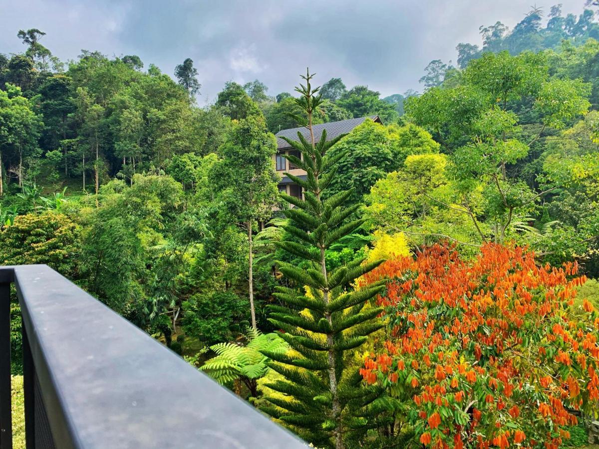 Harmony Valley Retreat Bukit Tinggi Kültér fotó