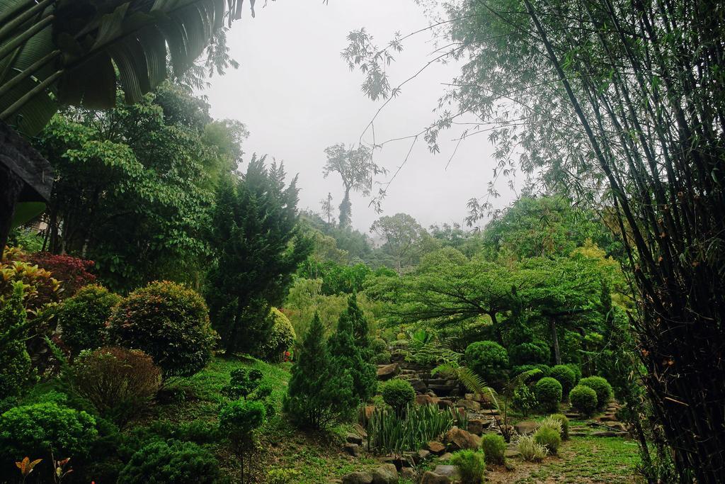 Harmony Valley Retreat Bukit Tinggi Kültér fotó